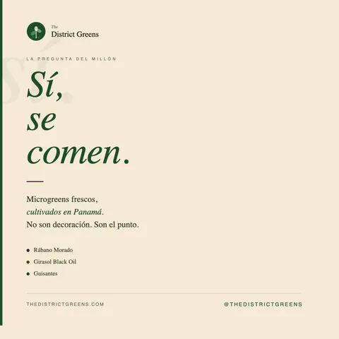 Sí, se comen. 🌱 No son decoración. No son para la foto. Son para tu plato.