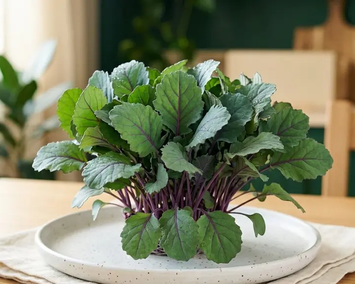 Kale Red Russian