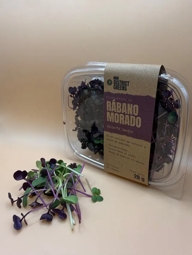 Pack de 28 g de Rábano Morado con su faja kraft