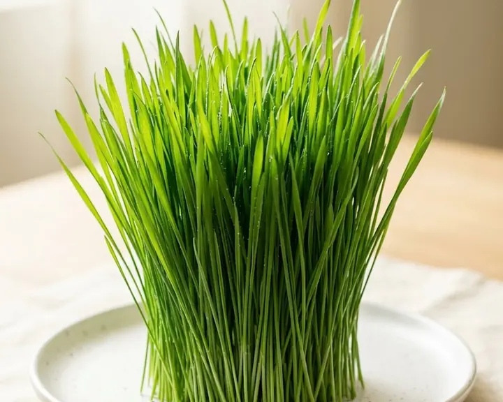 Pasto de Trigo